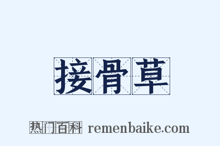 接骨草是什么意思的图片